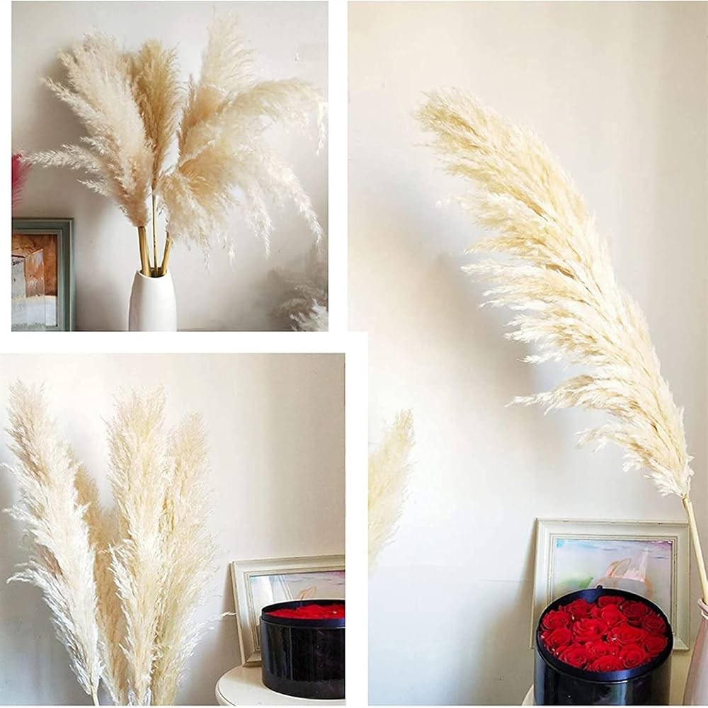 Fluffy　パンパスグラス Fluffy パンパスグラス パンパスグラス＊10pcs(ドライフラワー